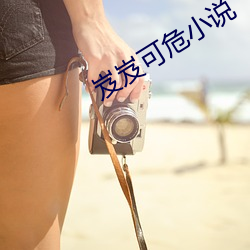 岌岌可危小说(shuō)