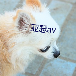 亞瑟av