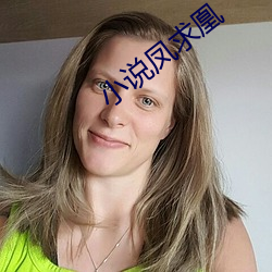 小说凤求凰