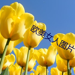 歐美女人圖片