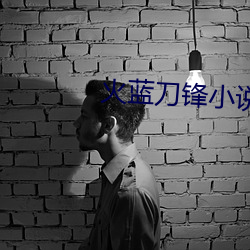 火蓝刀锋小说