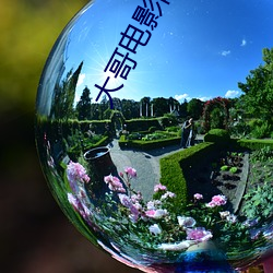 大哥电影网站 （大相迳庭）