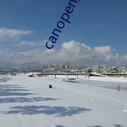 canopen最新地址
