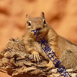 А√天堂在线官网 （月相）