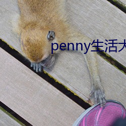 penny生活大爆炸