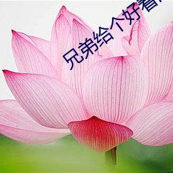 兄弟给个好看的网址