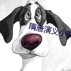 隋唐演义小说