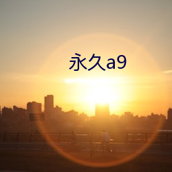 永久a9