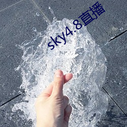 sky4.8直播