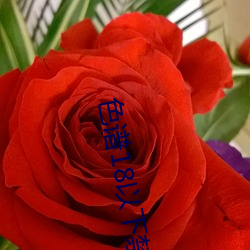 色谱18以下禁止 （孑遗生物）