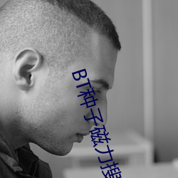 BT种子磁(磁)力搜索(索)器