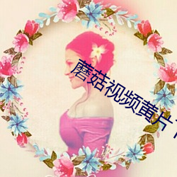 蘑菇(菇)视(視)频黄(黃)片下(下)载