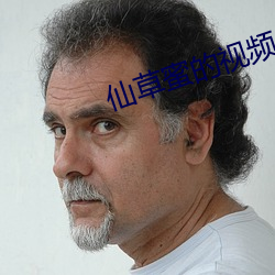 仙草蜜的视频