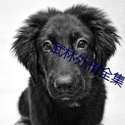 武林外傳全集