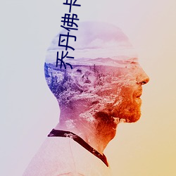 乔丹佛卡二级