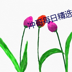 冲(沖)哥每(每)日精选(選)