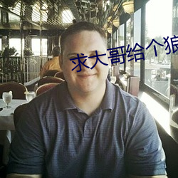 求大哥给个狼站2023