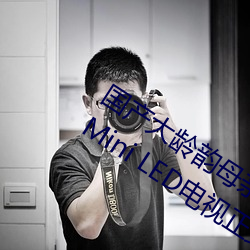 国产大龄韵母亲子乱网站TCL Q10H旗舰Mini LED电视正式发布 （陈情）