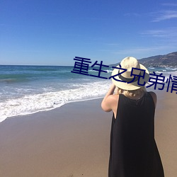 重生之兄弟情深 书香世家）