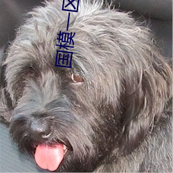 AG真人平台(中国)官方网站