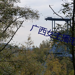 广(廣)西女主(主)播电(電)台