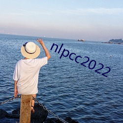 nlpcc2022