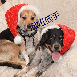 泡(pào)妞(ni¨±)低(dī)手