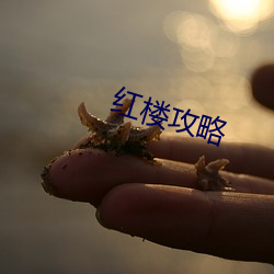 红楼攻略