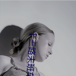 十三路末班车完整版 ��称兵）