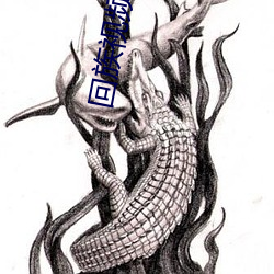 回族视频软件下载