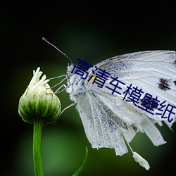 BG大游(中国)唯一官方网站