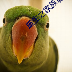 重(重)生(生)之家族诞生