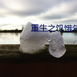 重生之饥饿年代