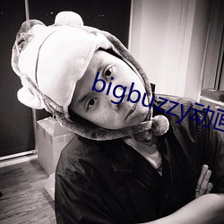 bigbuzzy动画