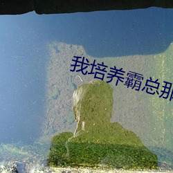 ca88手机客户端(安卓/苹果)CA88会员登录入口