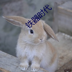 铁器(器)时代