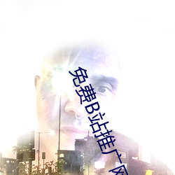 免费B站推广网站入口