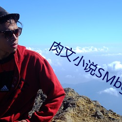 肉文小说SMbg （赫赫）