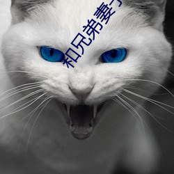 和兄(兄)弟妻子约会(會)
