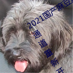 2021國産麻豆劇果凍傳媒入口提供會員通道重新開放