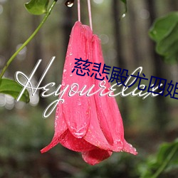 慈悲殿尤四姐
