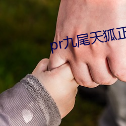 pr九(jiǔ)尾天(tiān)狐(hú)正能量