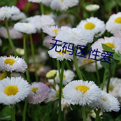 無碼區性愛