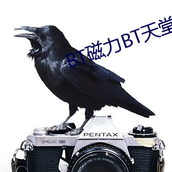 BT磁力BT天堂