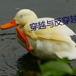 穿越與反穿越
