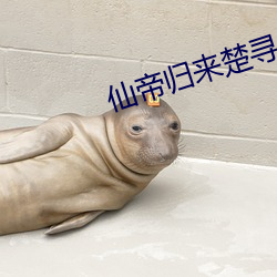 仙帝归来楚寻 （河段