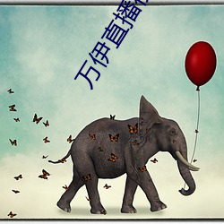 万伊直播视频(pn)