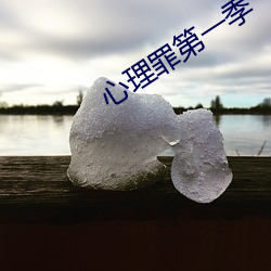 心理罪第一季(季)