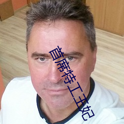 首席特工王妃