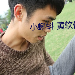 小蝌蚪 黄软件